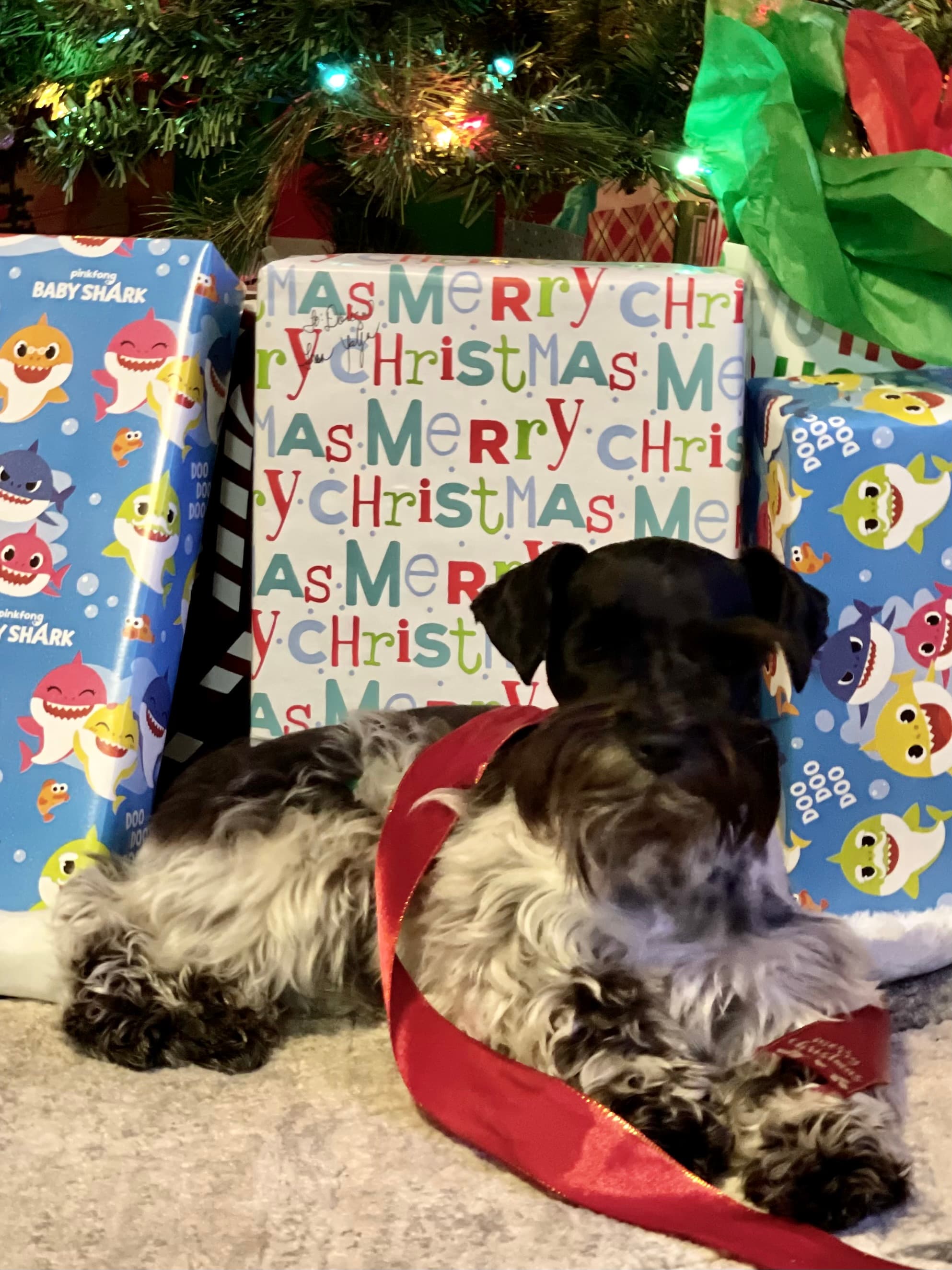 Blackheart's Alien Resurrection