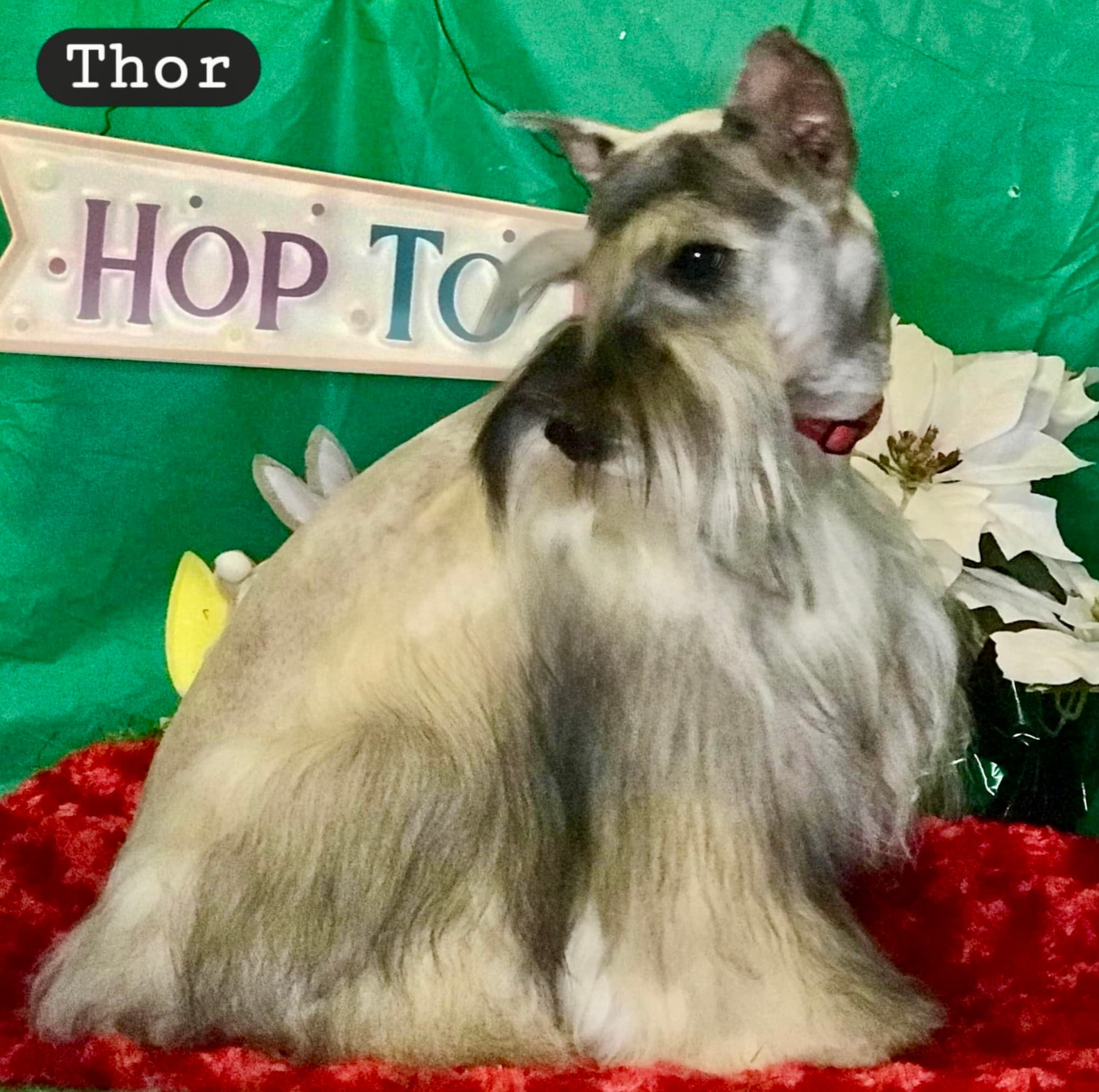 Blackheart's Mighty Thor